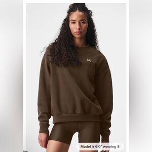 Alo Accolade Crew Neck Brown Pullover